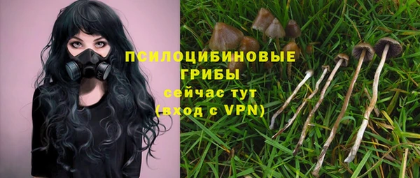 бутират Арсеньев