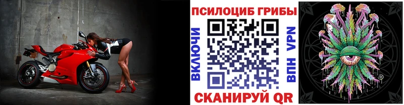 наркота  Отрадный  Галлюциногенные грибы мицелий 